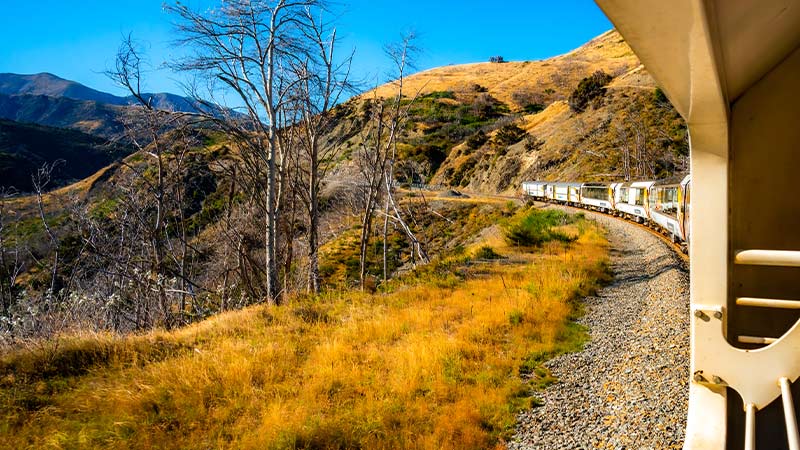 View of the TranzAlpine train journey from a carriage, looking out over the Greymouth landcape