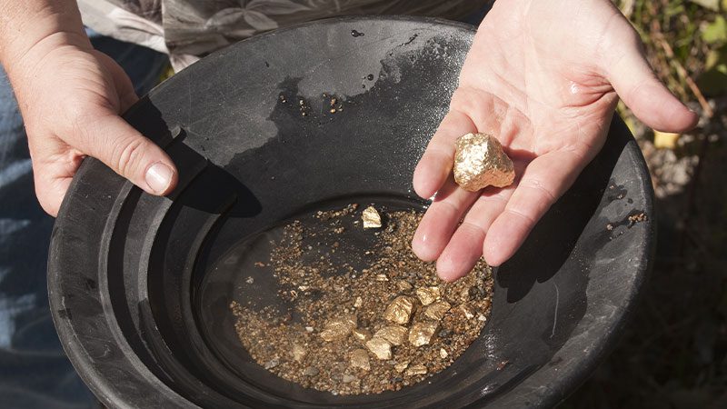 A person panning for Gold, holding a gold nugget in their hand