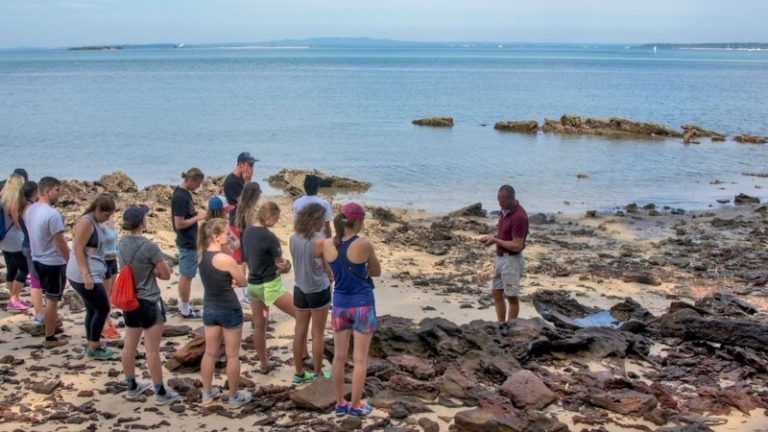 5 First Nations experiences in Brisbane | Intrepid Travel Blog - The ...