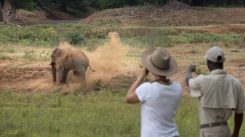 south africa safari reddit