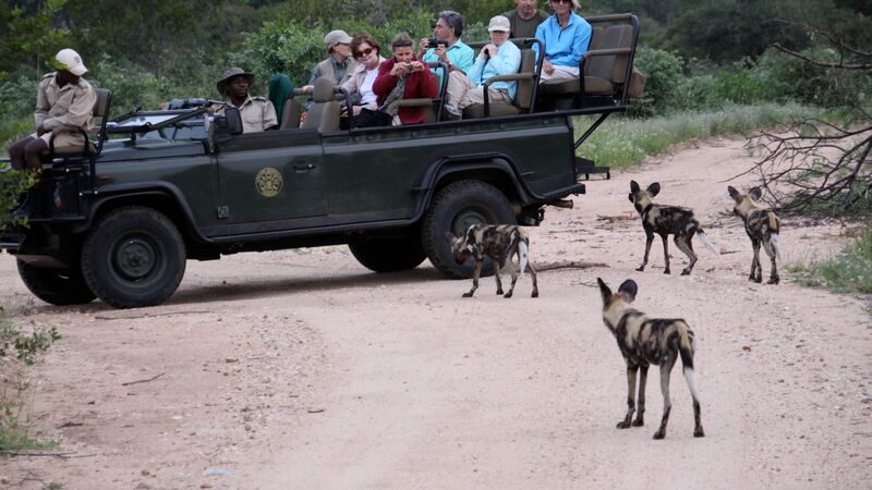 south africa safari reddit