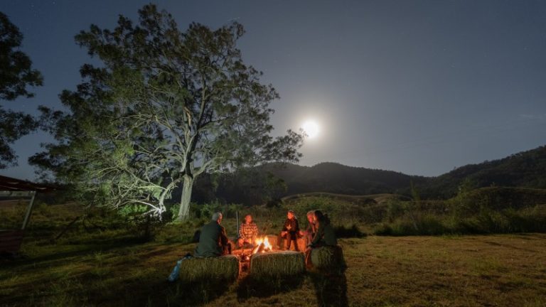5 First Nations experiences in Brisbane | Intrepid Travel Blog - The ...