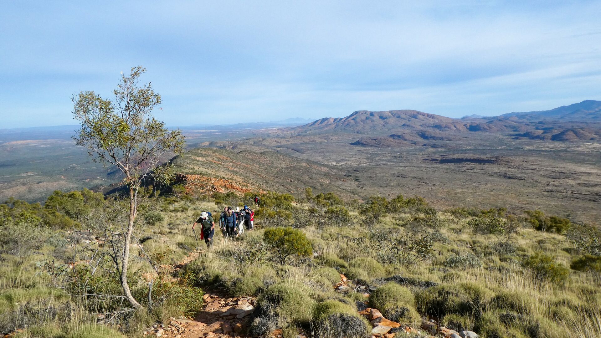 A group of hikers coming up a hill with the West MacDonnell Ranges behind them.