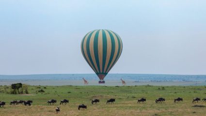 safari resort packages