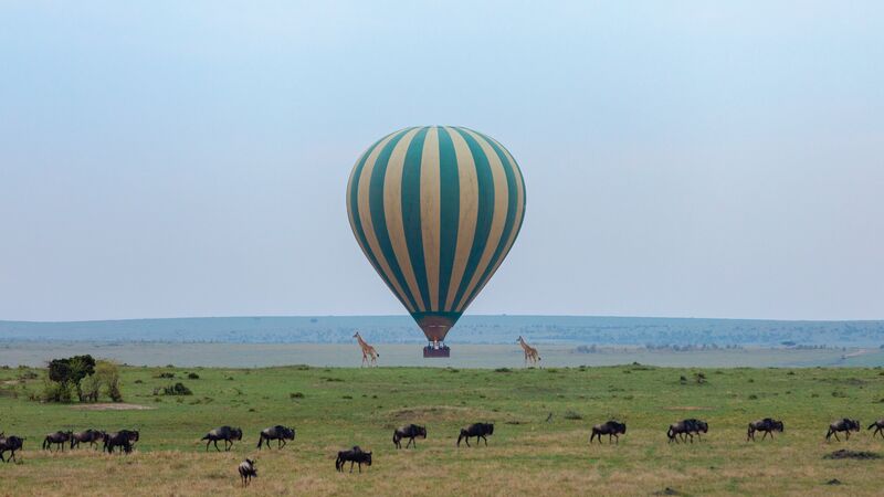 intrepid travel masai mara