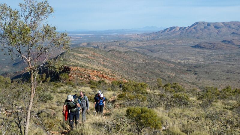 A group of travellers traversing the terrain of the Larapinta Trail on a clear day