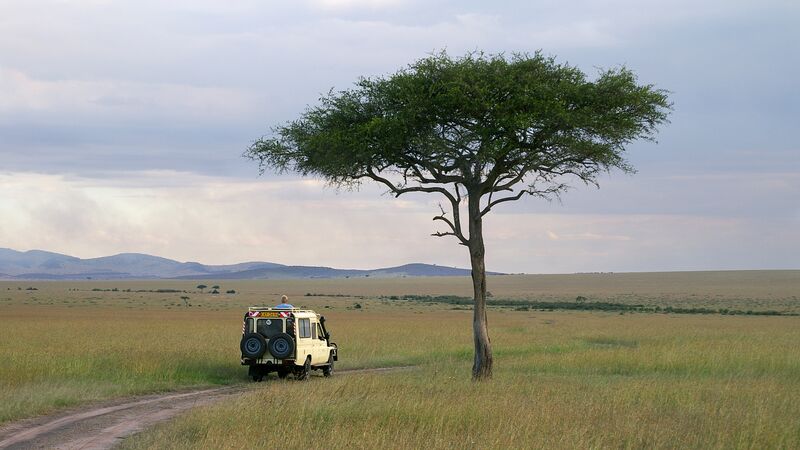 An open roof 4WD driving in the Masai Mara National Reserve with mountains in the distance. 