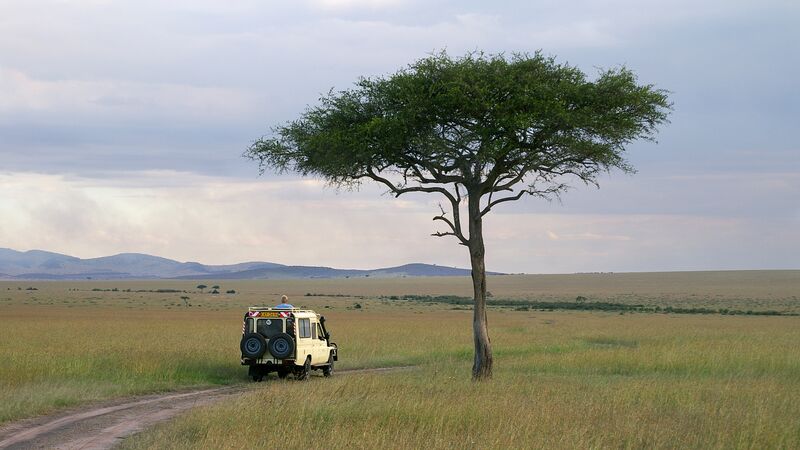 An open roof 4WD driving in the Masai Mara National Reserve with mountains in the distance.