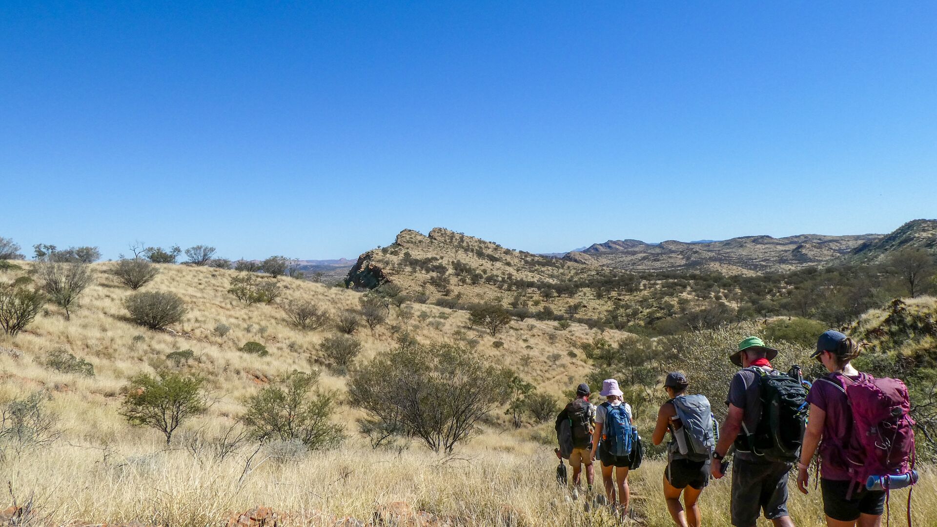 A group of hikers walk through grass in the MacDonnell Ranges.