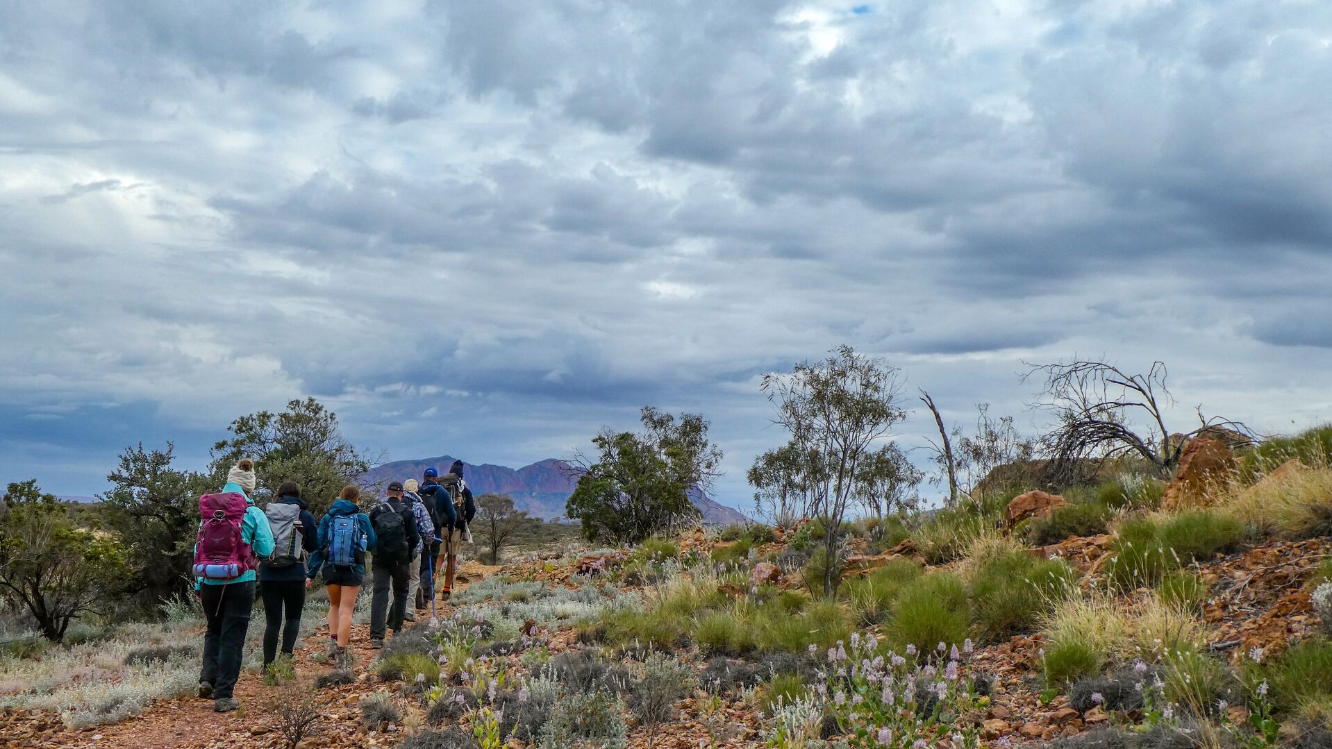 A line of hikers wearing jackets, beanies and long sleeves walk along a rocky path on the Larapinta Trail.