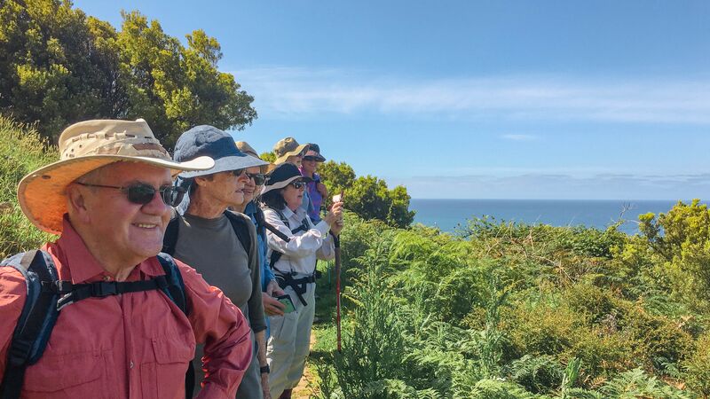 A group of hikers staring at the coastal scenery on a clear day in Victoria. 