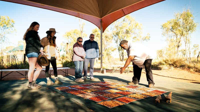 Travellers learning about native seeds and their uses at the Karrke Cultural Experience in the Northern Territory