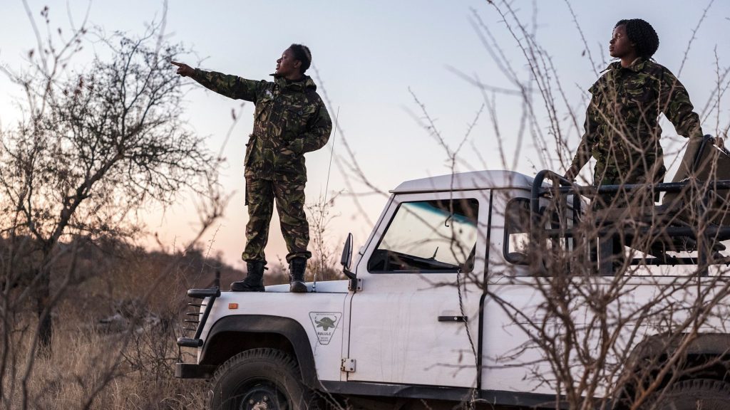 Two members of the Black Mambas anti-poaching unit patrol the area by vehicle.