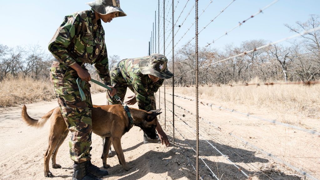 Two members of the Black Mambas anti-poaching unit check the resereve's fenceline with a sniffer dog.