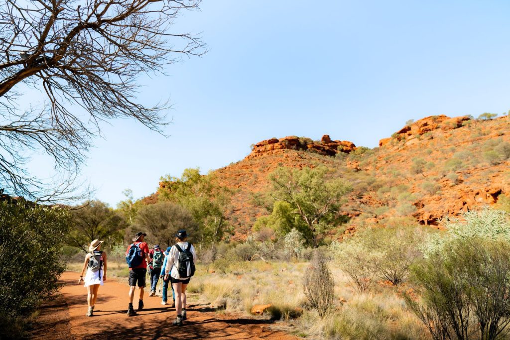 A group of travellers walking through a section of landscape in the Red Centre