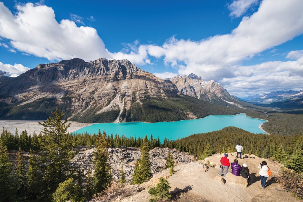 a viewpoint overlooking Peyto Lake 