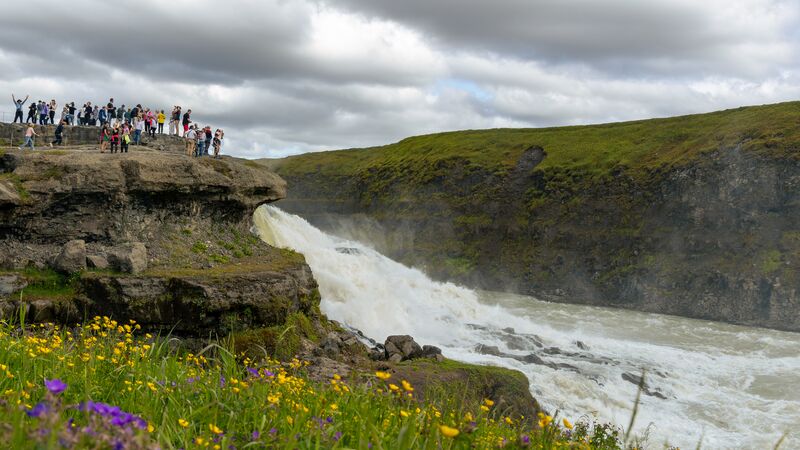 Visitors to Gullfoss Waterfall stand overlooking the water with wildflowers growing nearby