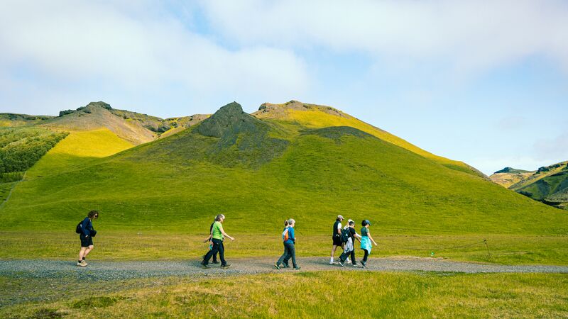 A group of 8 hikers walking through a bright green Icelandic landscape.