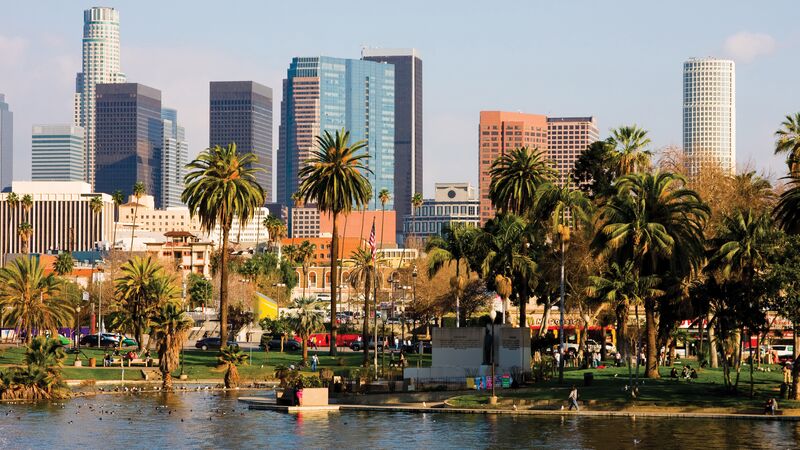 Palm trees around a lake in LA with the buildings of downtown in the background.