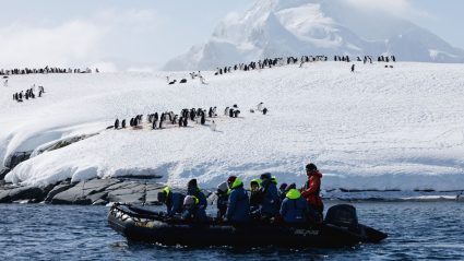 antarctica trip cheap