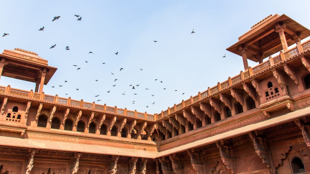 A flock of birds flying over the Agra Fort.