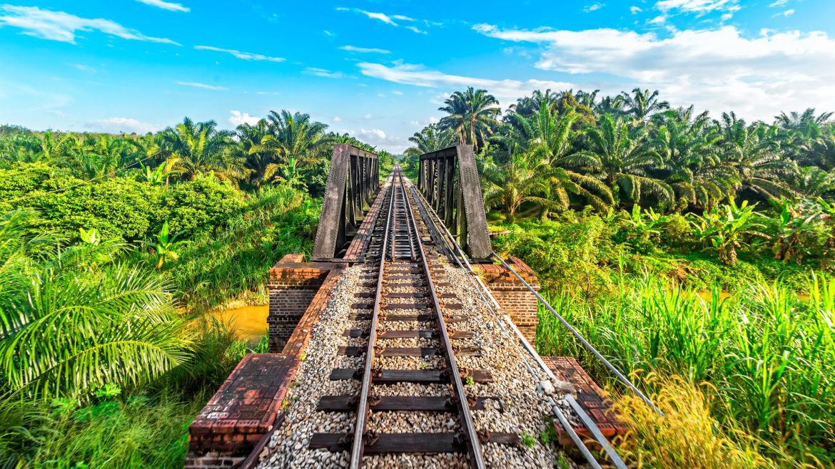 POV: standing on a train track that cuts through the Malaysian jungle. (Don't try this at home.)