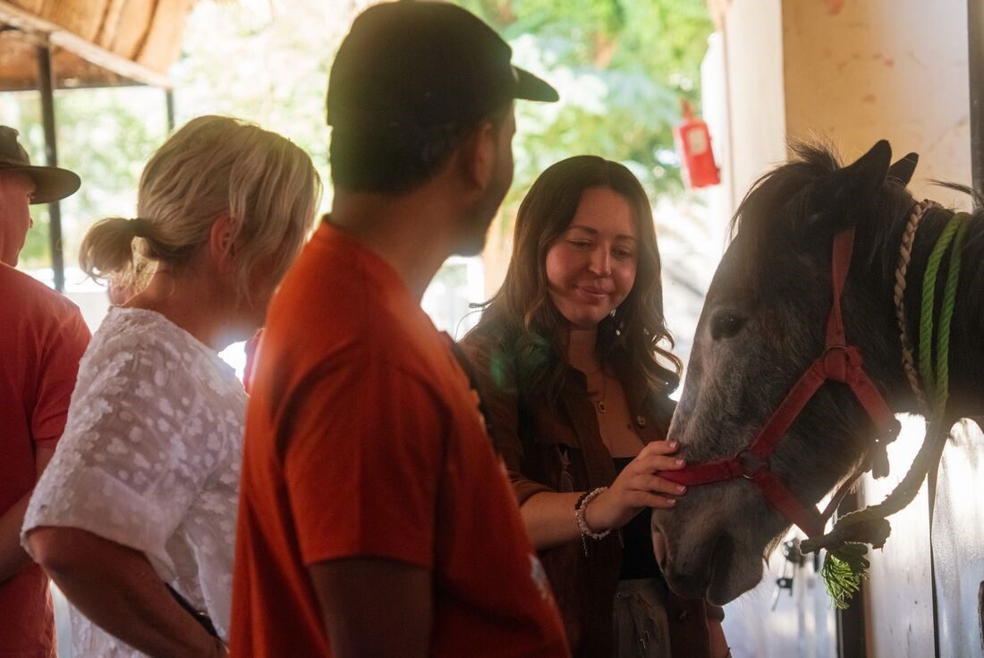 Travellers meet a rescued horse at Animal Care Egypt, an NGO in Luxor.
