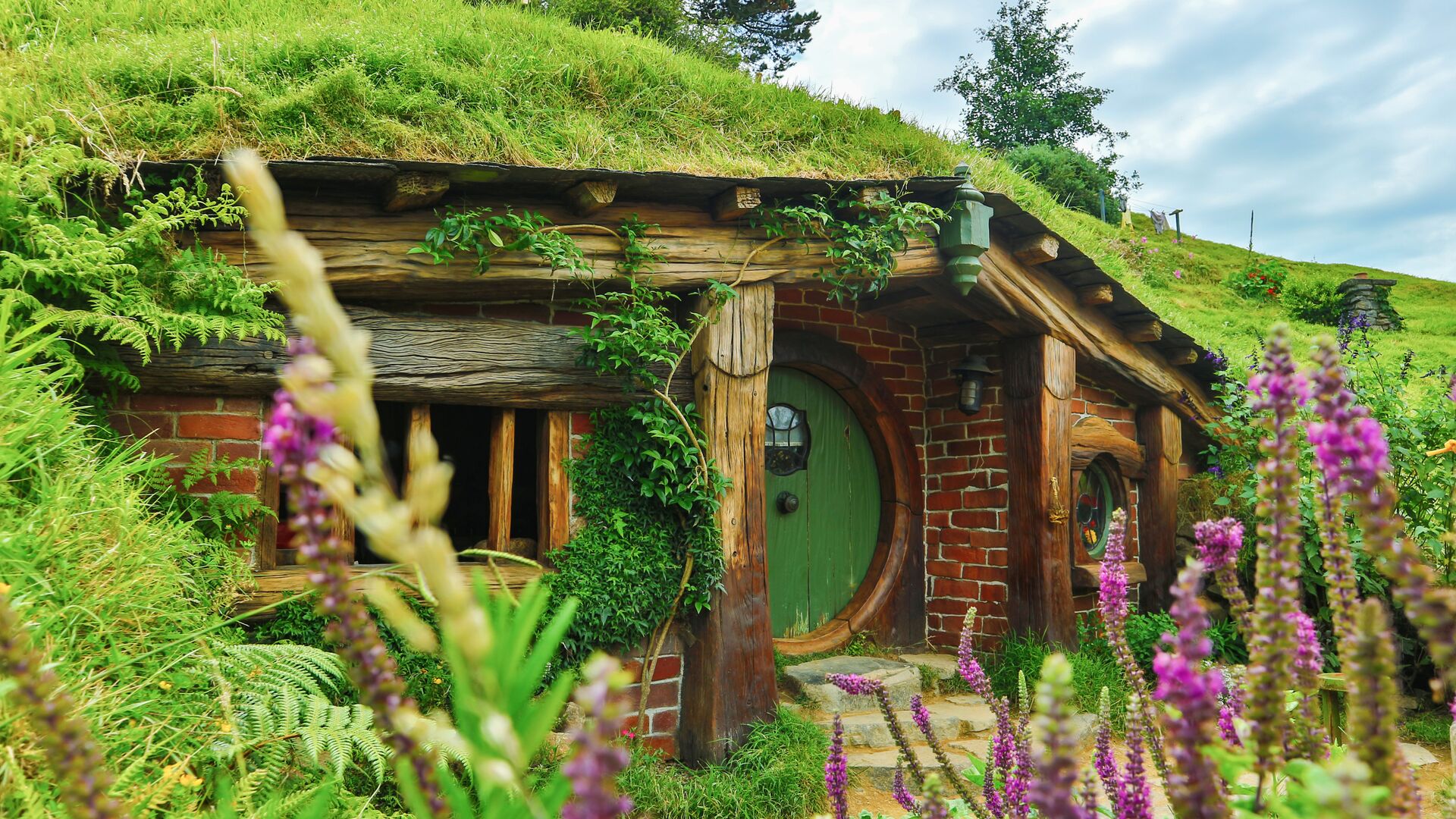 A Hobbit house in New Zealand
