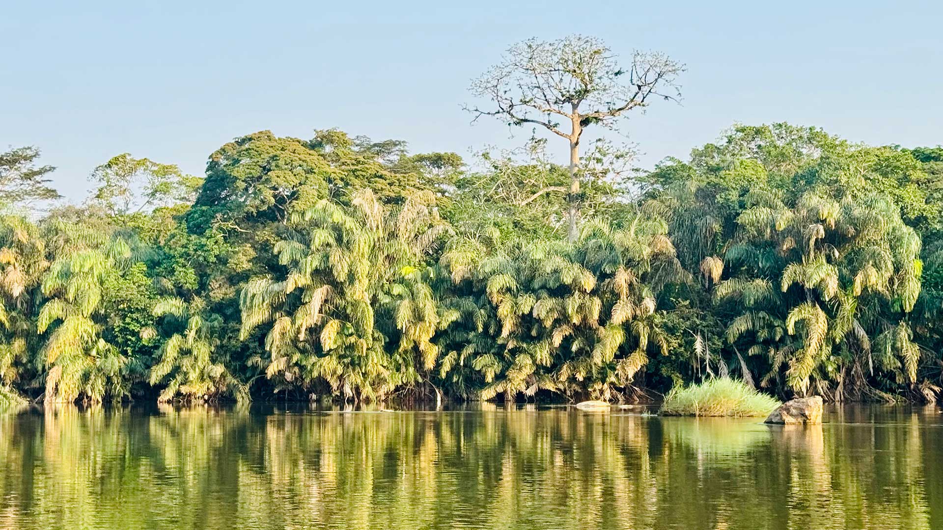 Tiwai Island in Sierra Leone