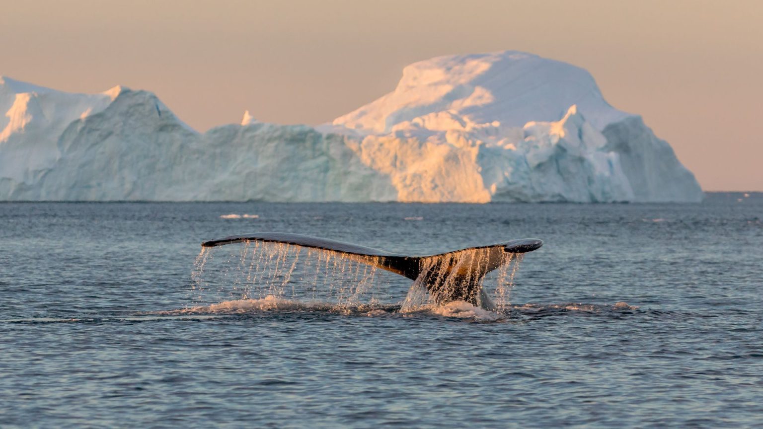 13 new European trips and experiences for 2026 | The Good Times by Intrepid