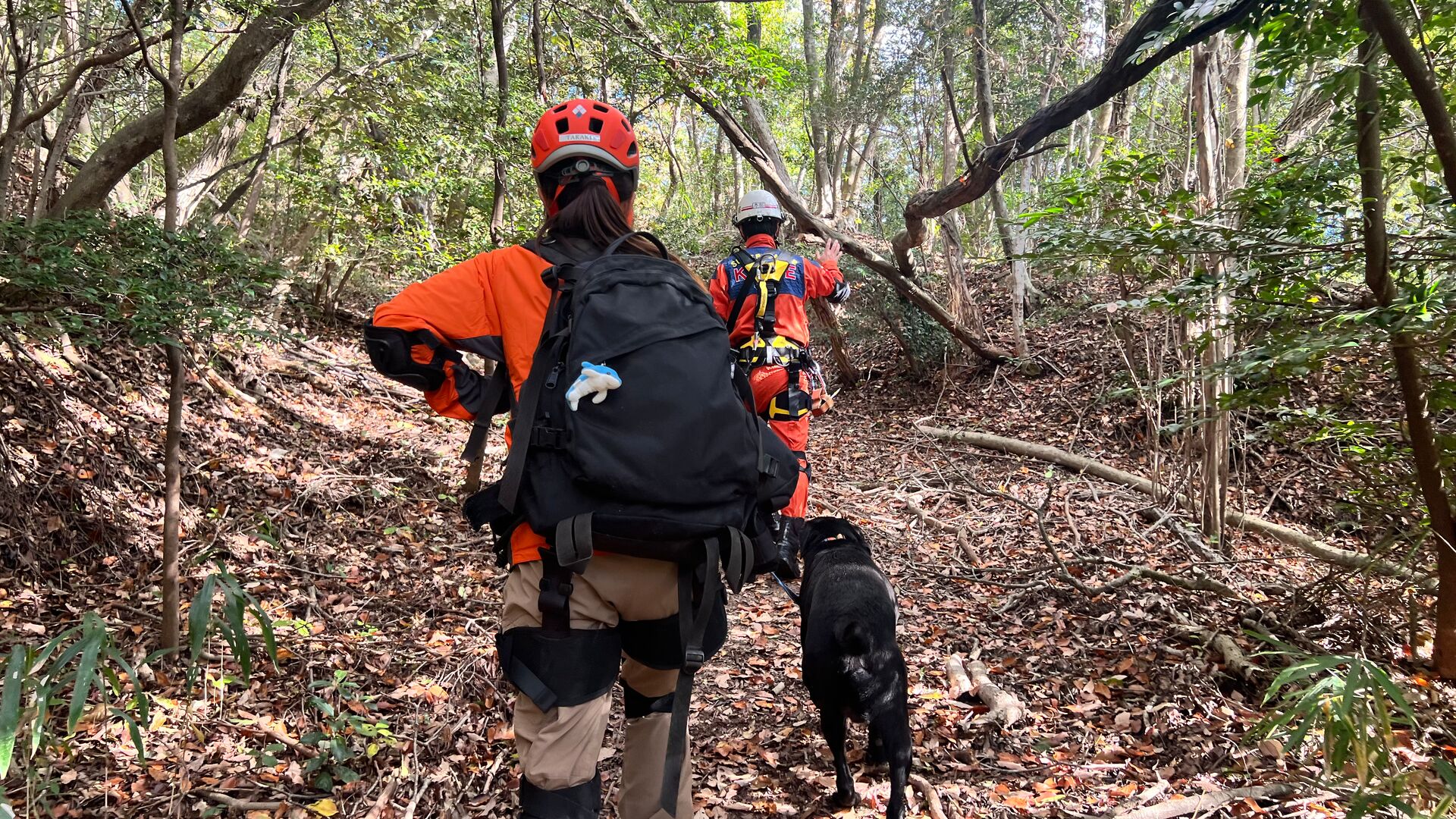 Training missions for the Japan Rescue Association.