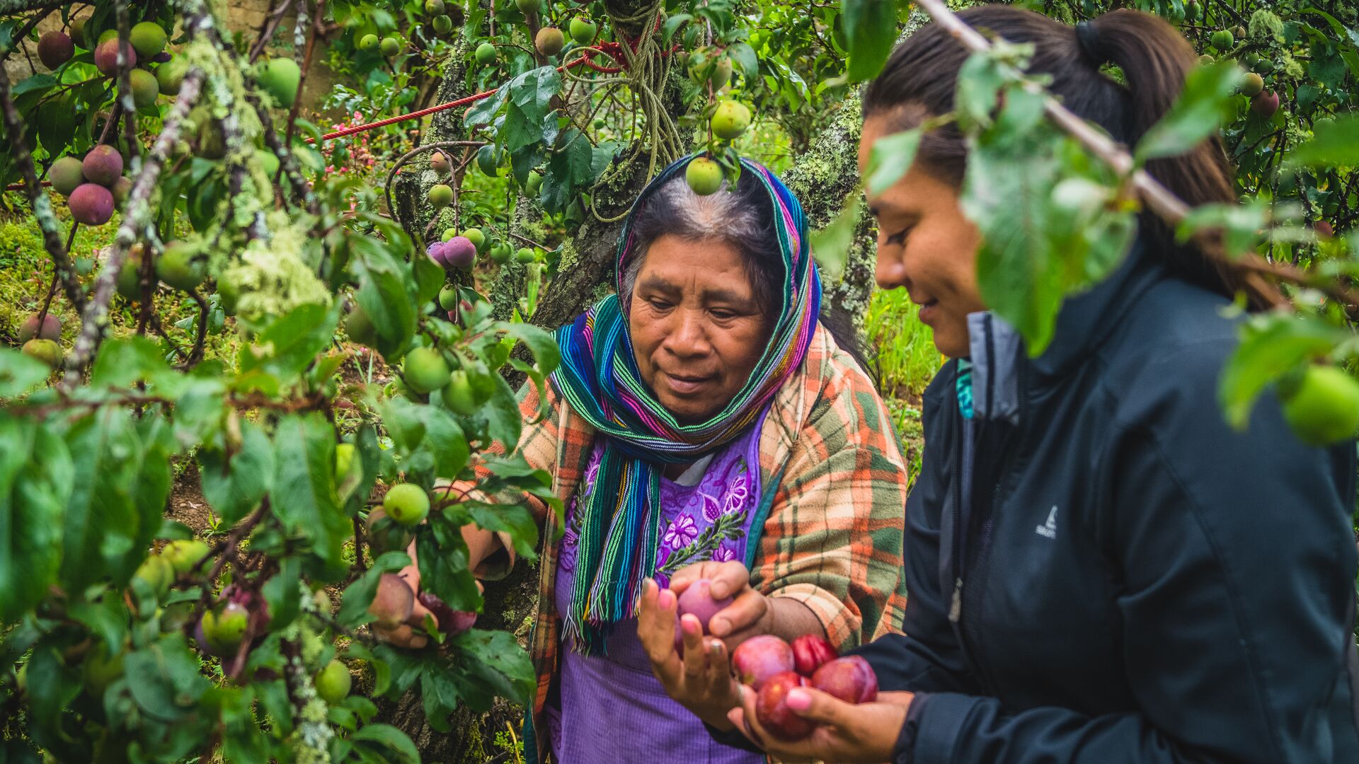 Locals in Mexico's Sierra Norte mountains.