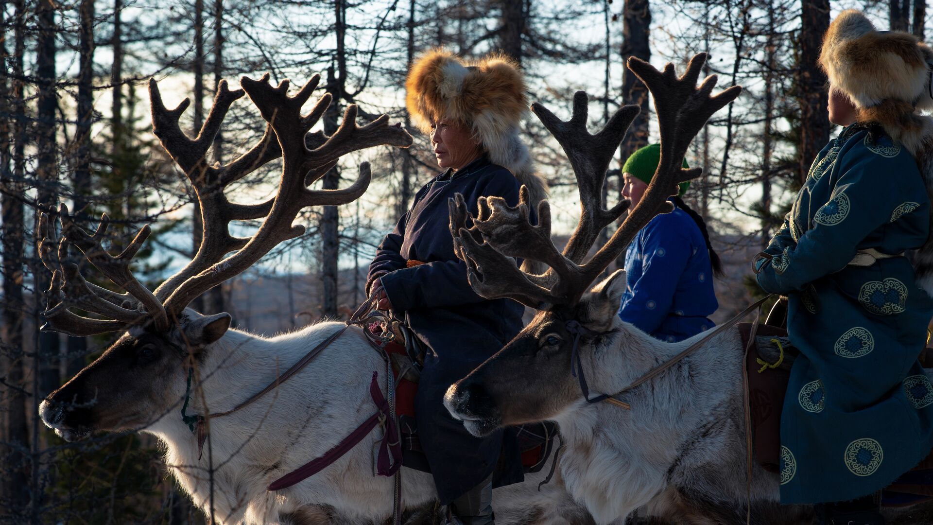 The nomadic Tsaatan, moving with the seasons. 