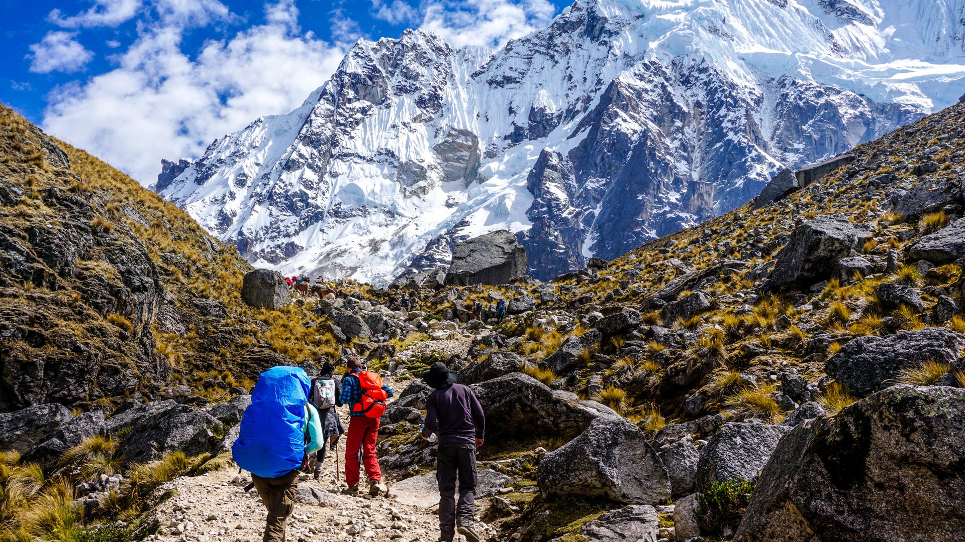 26 totally new Intrepid trips and experiences for 2026 | The Good Times ...