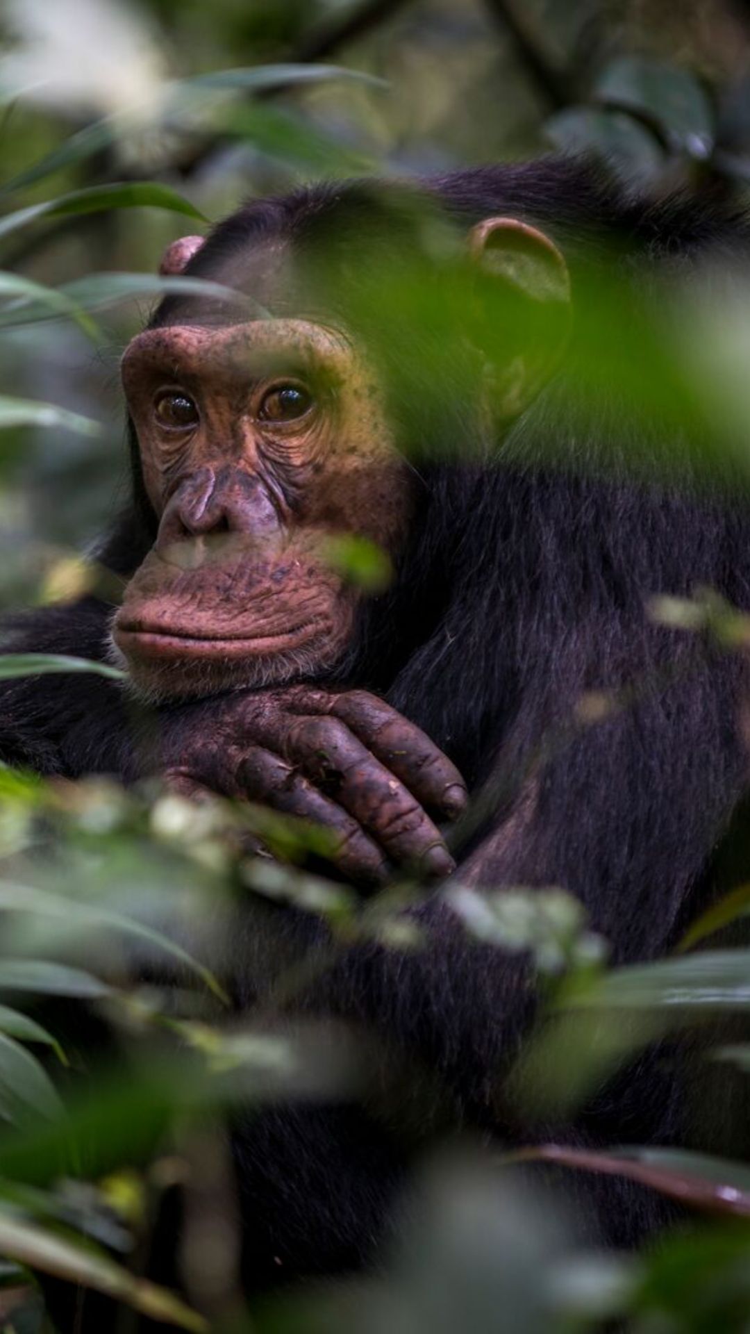 26 totally new Intrepid trips and experiences for 2026 | The Good Times ...