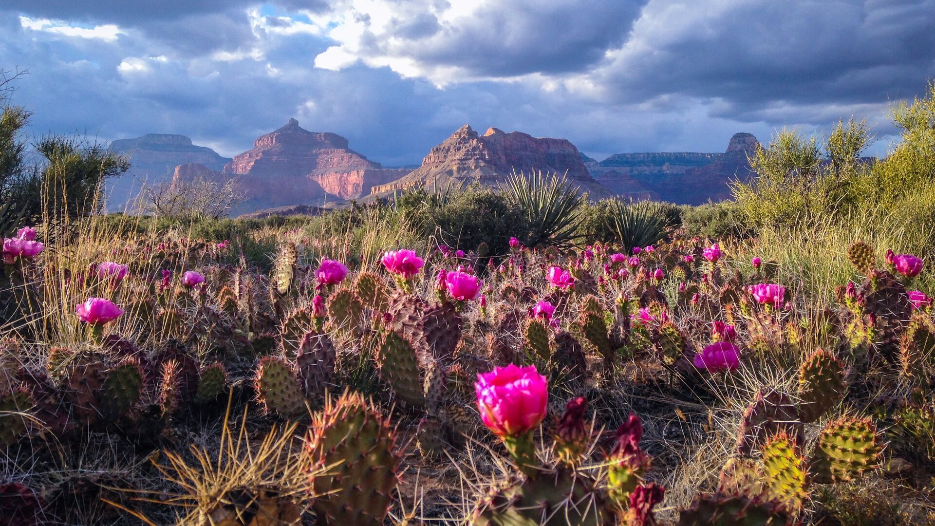 10 new Premium trips and experiences for 2026 | The Good Times by Intrepid