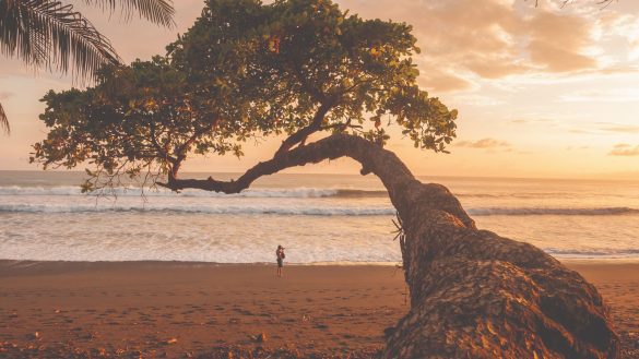 One of Costa Rica's scenic wildlife-rich landscapes.