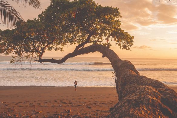 26 totally new Intrepid trips and experiences for 2026 | The Good Times ...