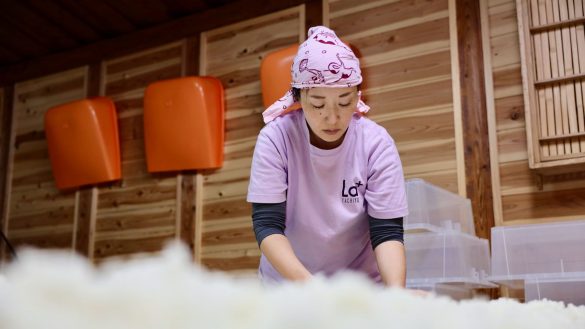 Kumiko Kaba, a female sake brewer in Japan.