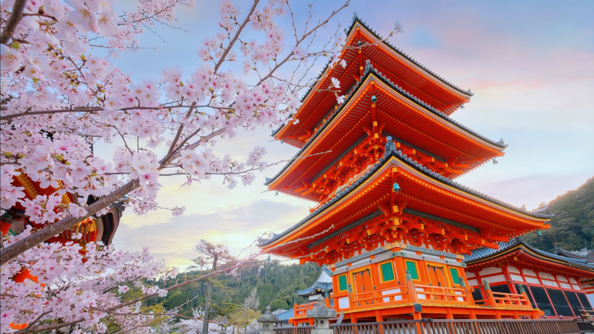 A temple framed by spring cherry blossoms in Japan.