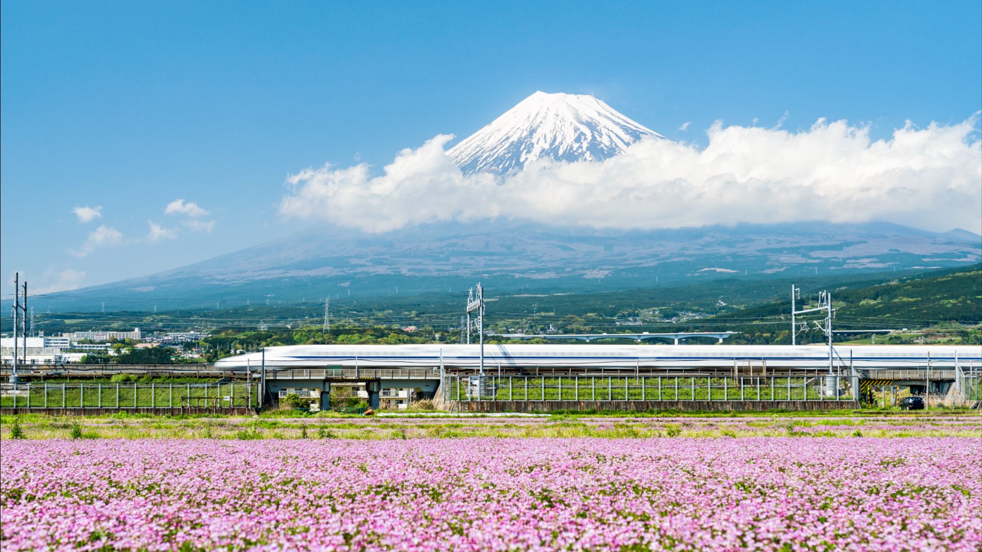 A bullet train racing past Mt Fuji, Japan.