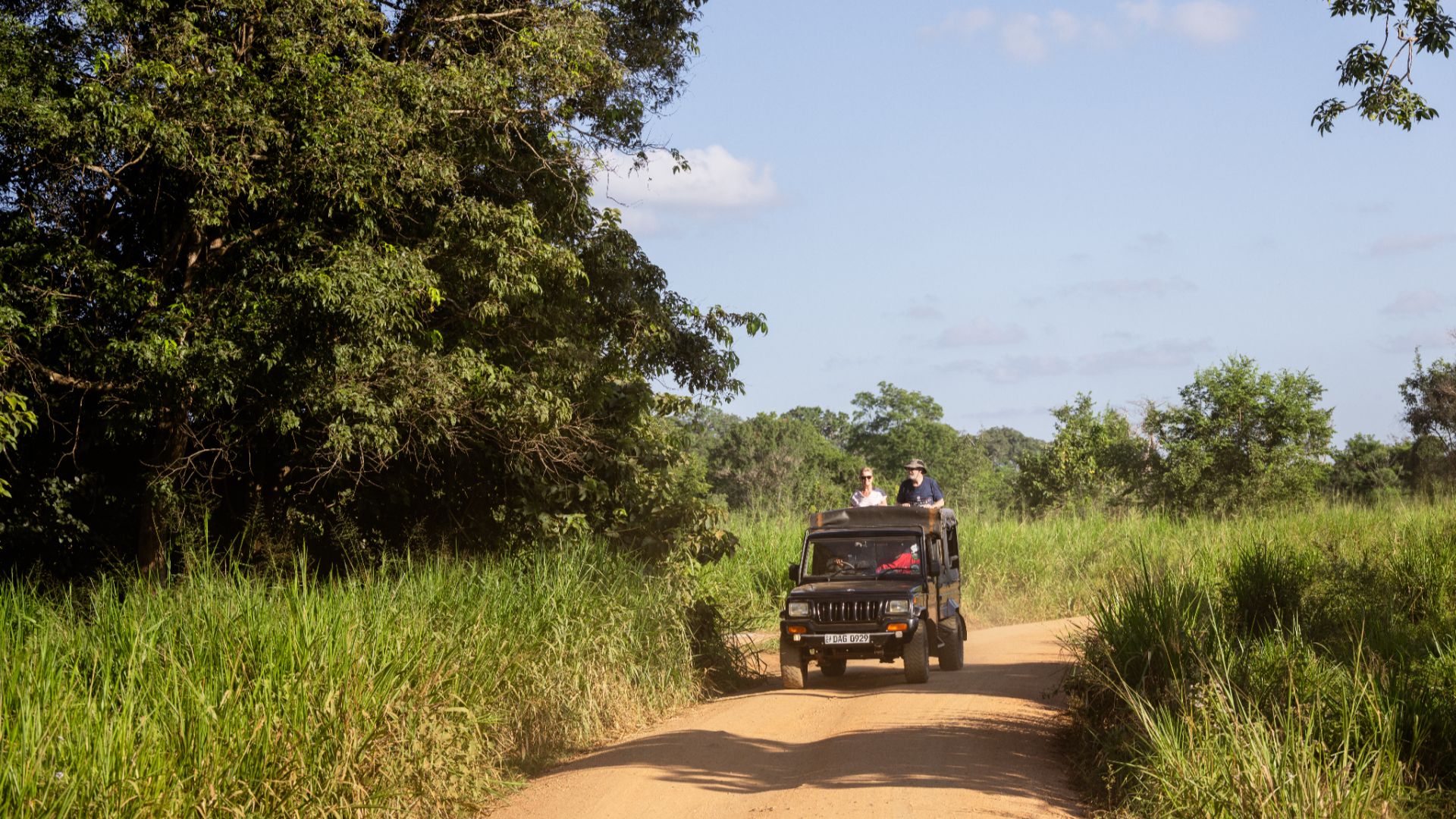A safari ride in Sri Lanka with Intrepid.
