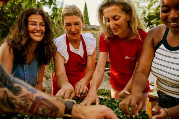 26 totally new Intrepid trips and experiences for 2026 | The Good Times ...