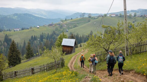 Hiking Romania’s Via Transilvanica with Intrepid.