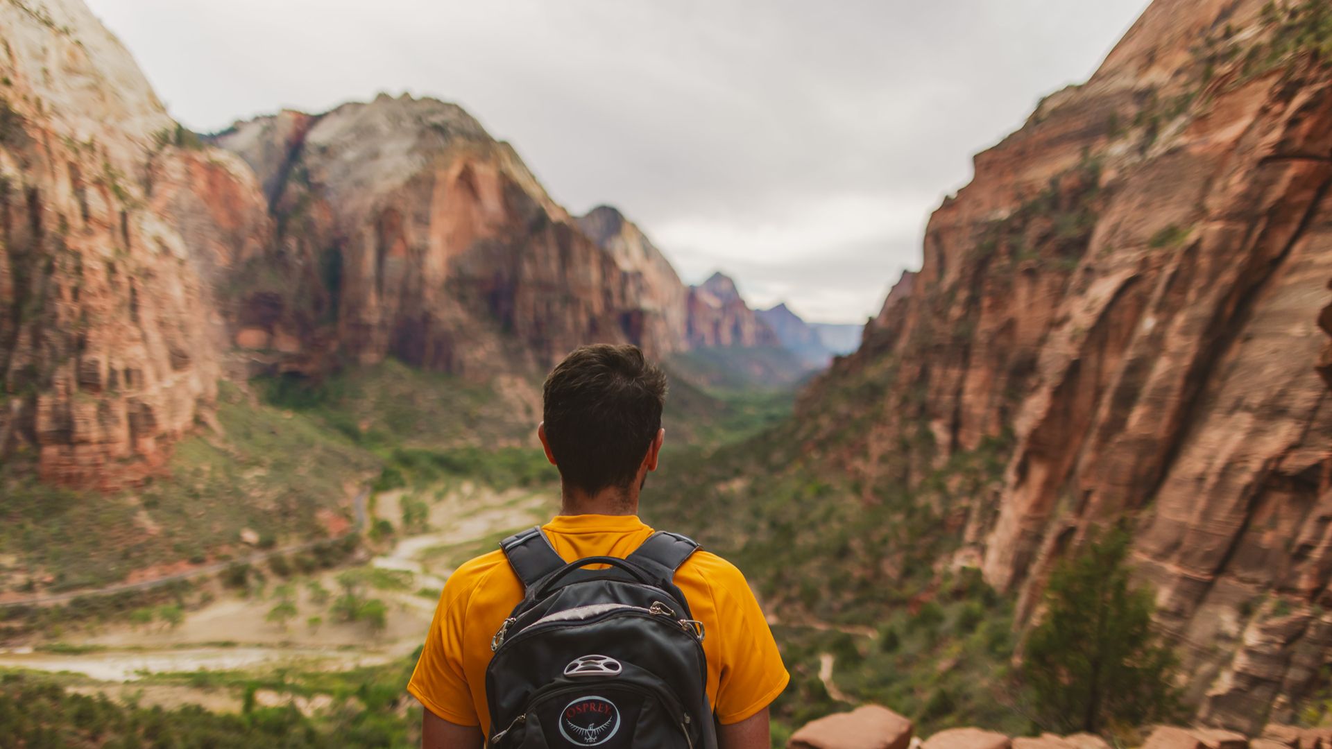 A traveller admires the view in Zion National Park, USA