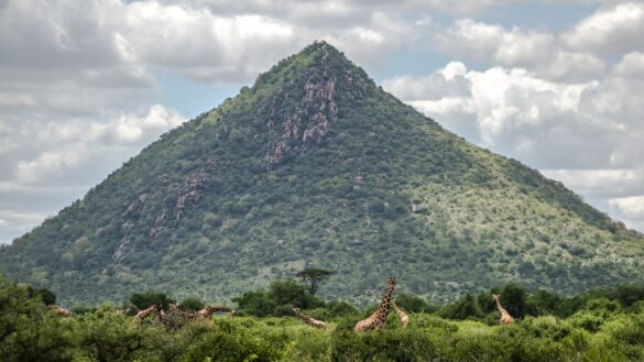 Samburu National Reserve, Kenya