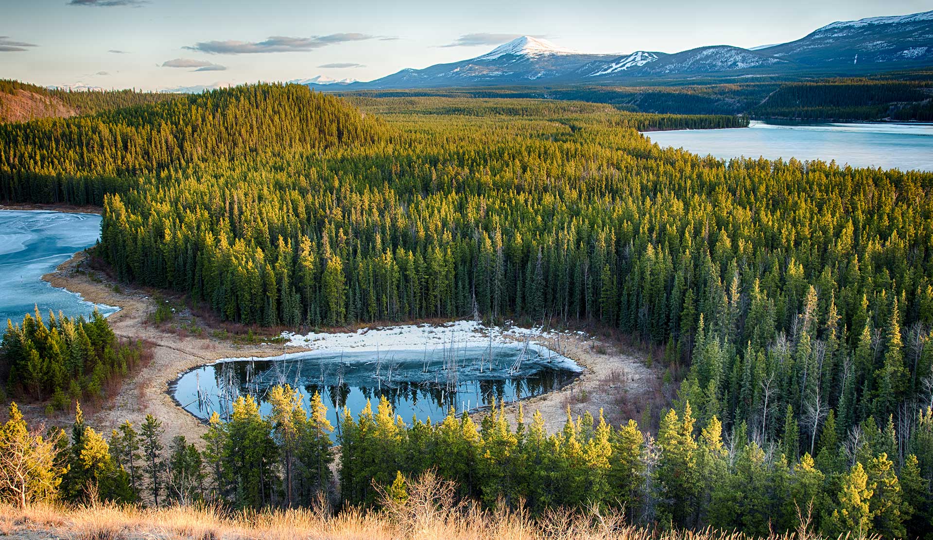 Intrepid's Not Hot List names Whitehorse, Canada, as a destination in its own right.