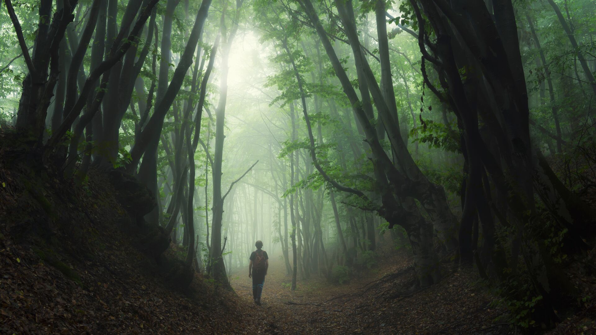A spooky-looking Transilvanica Trail, Romania