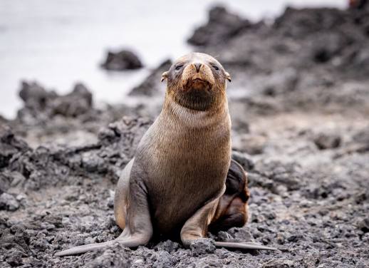 solo group travel costa rica