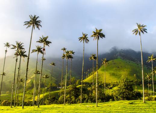 solo male travel colombia